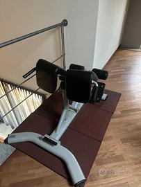IPEREXTENSION TOORX