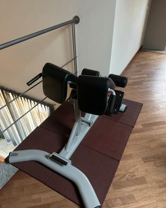 IPEREXTENSION TOORX