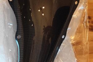 Estrattori carene carbonio Aprilia RSV Factory 