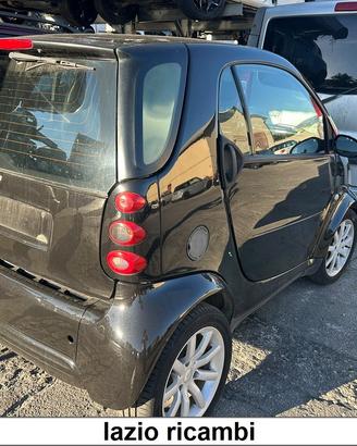 Smart 450 plastiche