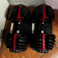 Coppia  di manubri regolabili da 24kg