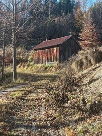 Terreno per villaggio chalet o glamping