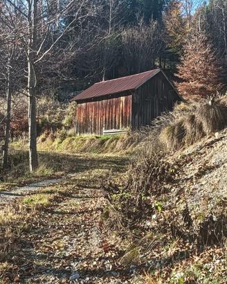Terreno per villaggio chalet o glamping