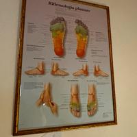 STOCK QUADRI/CORNICI VARIE