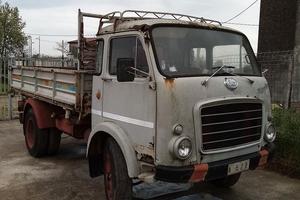 TIGROTTO OM anno 1966 darestauro