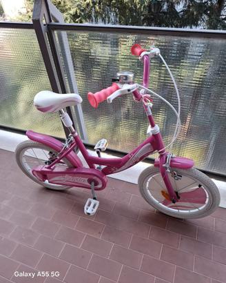 Bicicletta bimba 2-6 anni