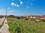 Immagine 16