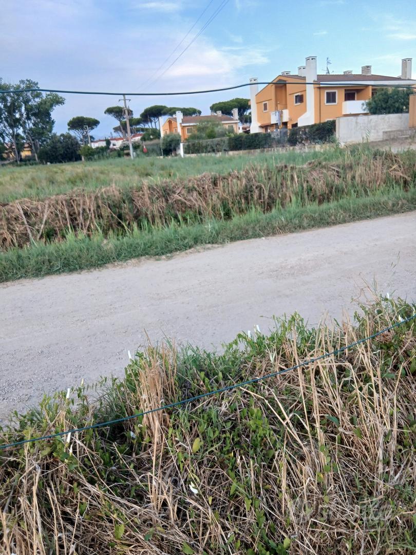 Terreno agricolo - Vista 4