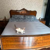 Letto e Comodini in legno - stile vintage/antico