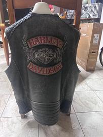 Smanicati Harley Davidson