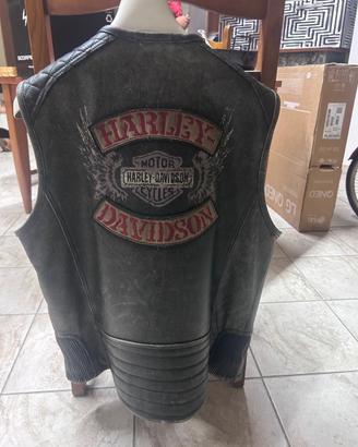 Smanicati Harley Davidson
