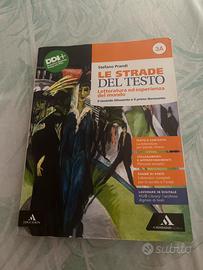 Le strade del testo