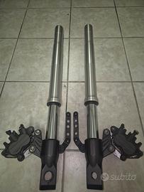 forcelle Kawasaki z750 foderi argento con pinze
