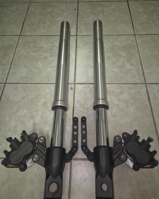 forcelle Kawasaki z750 foderi argento con pinze
