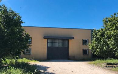 Capannone artigianale