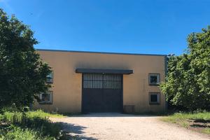 Capannone artigianale