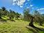 Immagine 22