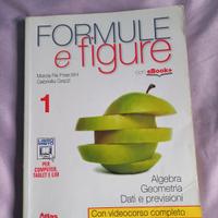 Formule e figure 1
