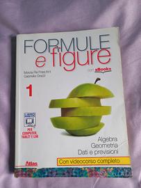 Formule e figure 1