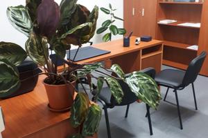 Condivisione stanze ufficio