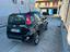 Immagine 7
