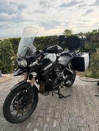 Tiger 1200 triumph