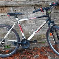 Bicicletta Mountain bike 