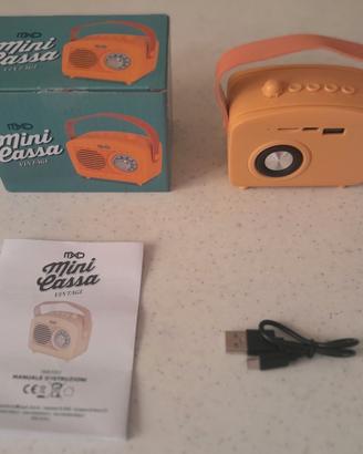 Cassa amplificata regolabile Bluetooth lettore sim