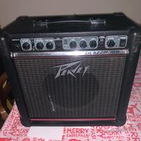 Cassa peavey