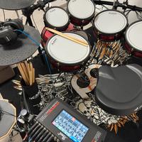 Batteria Alesis Pro Special Edition