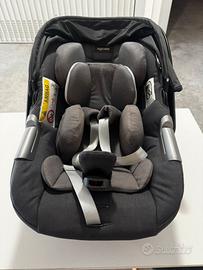 Ovetto inglesina darwin infant