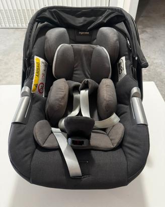 Ovetto inglesina darwin infant
