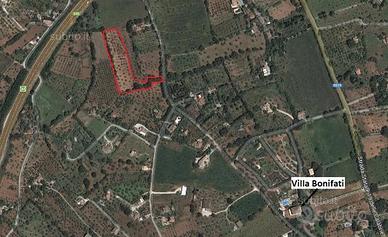 Terreno agricolo adibito ad uliveto