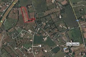 Terreno agricolo adibito ad uliveto