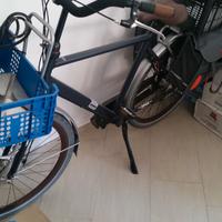 Bicicletta stile olandese