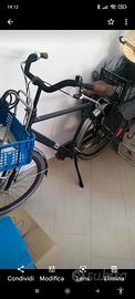 Bicicletta stile olandese