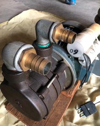 Elettropompa autoadescante acqua/gasolio