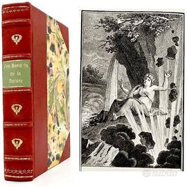 Libro antico e raro - Les Baeutes de la Nature