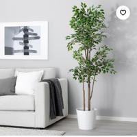 Pianta artificiale Ikea ficus 170 cm