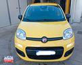 fiat-panda-pandina-1-0-firefly-s-s-hybrid-icon