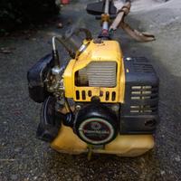 Decespugliatore Kawasaki TG24