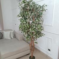 pianta ornamentale artificiale alta 180 cm