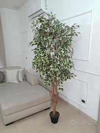 pianta ornamentale artificiale alta 180 cm