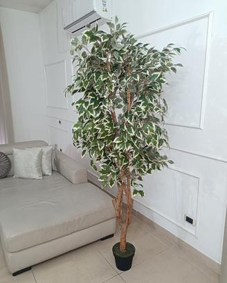 pianta ornamentale artificiale alta 180 cm