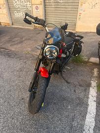 Ducati Scrambler 800 Icon 2022