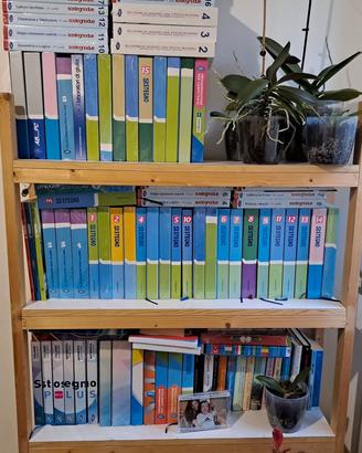 libri sostegno didattico 