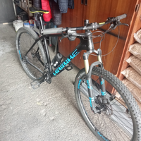 Haibike tg 29