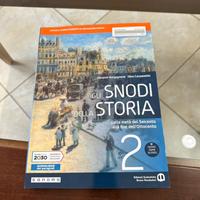 Libro “gli snodi della storia”