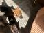 Immagine 5