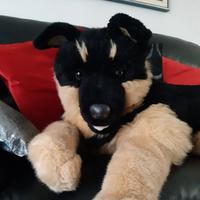 Peluche Pastore Tedesco a grandezza naturale